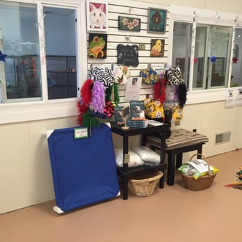 Cavanaugh's Collars & Friends - Many items that support local rescues. Visit our adoptable cats. - Pet Stores Near Me - Harrisburg, Pennsylvania Cavanaugh's Collars & Friends - Many items that support local rescues. Visit our adoptable cats. - Pet Stores Near Me - Harrisburg, Pennsylvania