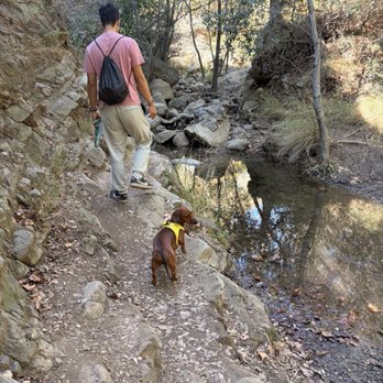 Black Star Canyon Trail - Hiking Near Me - Orange, California Black Star Canyon Trail - Hiking Near Me - Orange, California