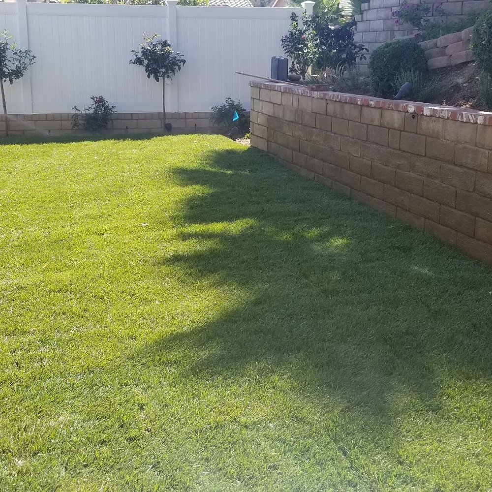 AIM Landscape & Irrigation - a man standing in the yard - Landscaping Near Me - Canyon Country, California