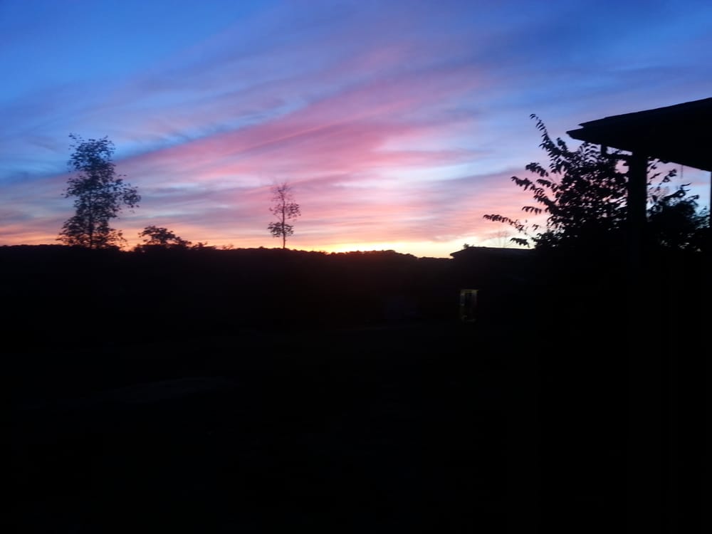 THE FUZZY FARM Updated October 2024 21 Photos 250 Churchill Rd