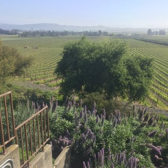 Gloria Ferrer Winery - Wineries Near Me - Sonoma, California