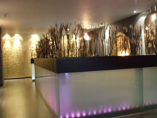 Baglioni Hotel London by null