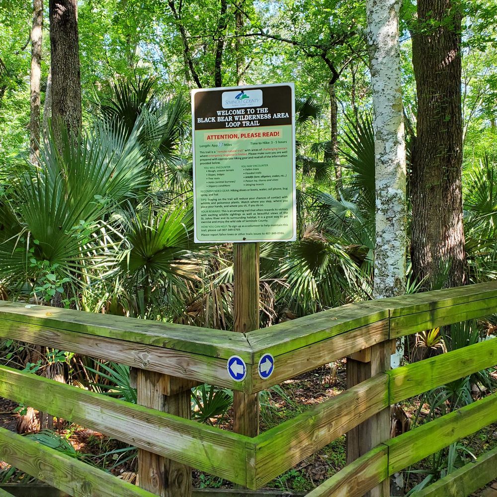 Black Bear Wilderness Area - The trail is a loop, so you can choose whether to go right or left. - Hiking Near Me - Sanford, Florida