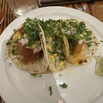 Zocalo - Shrimp tacos - Mexican Near Me - Metairie, Louisiana Zocalo - Shrimp tacos - Mexican Near Me - Metairie, Louisiana
