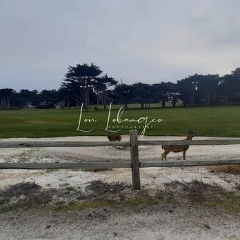 Pescadero Point - Local Flavor Near Me - Pebble Beach, California Pescadero Point - Local Flavor Near Me - Pebble Beach, California