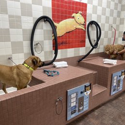 Dog wash station area. It's do it yourself. Super convenient. Dog wash station area. It's do it yourself. Super convenient.