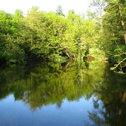 Holywells Park - HolyWells Park pond