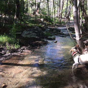 Coldbrook Campground - Stream Below One Of The Sites (only a 1 minute walk from my site) - Campgrounds Near Me - Azusa, California Coldbrook Campground - Stream Below One Of The Sites (only a 1 minute walk from my site) - Campgrounds Near Me - Azusa, California