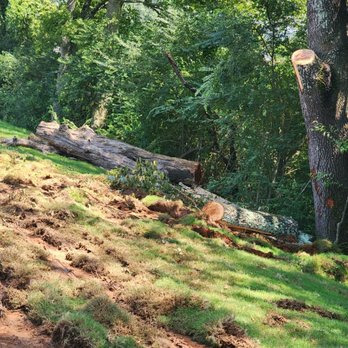 Bama Bob Tree Service - Debris left - Tree Services Near Me - Huntsville, Alabama Bama Bob Tree Service - Debris left - Tree Services Near Me - Huntsville, Alabama