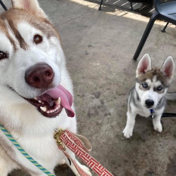 Universal Joint - Enzo and Abra enjoying their kid burger! - New American Near Me - Lawrenceville, Georgia Universal Joint - Enzo and Abra enjoying their kid burger! - New American Near Me - Lawrenceville, Georgia