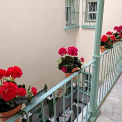 Hostal Jardin de la Alameda - Indoor court