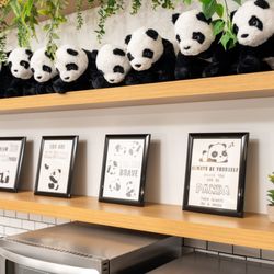 Little Pandas Play Cafe