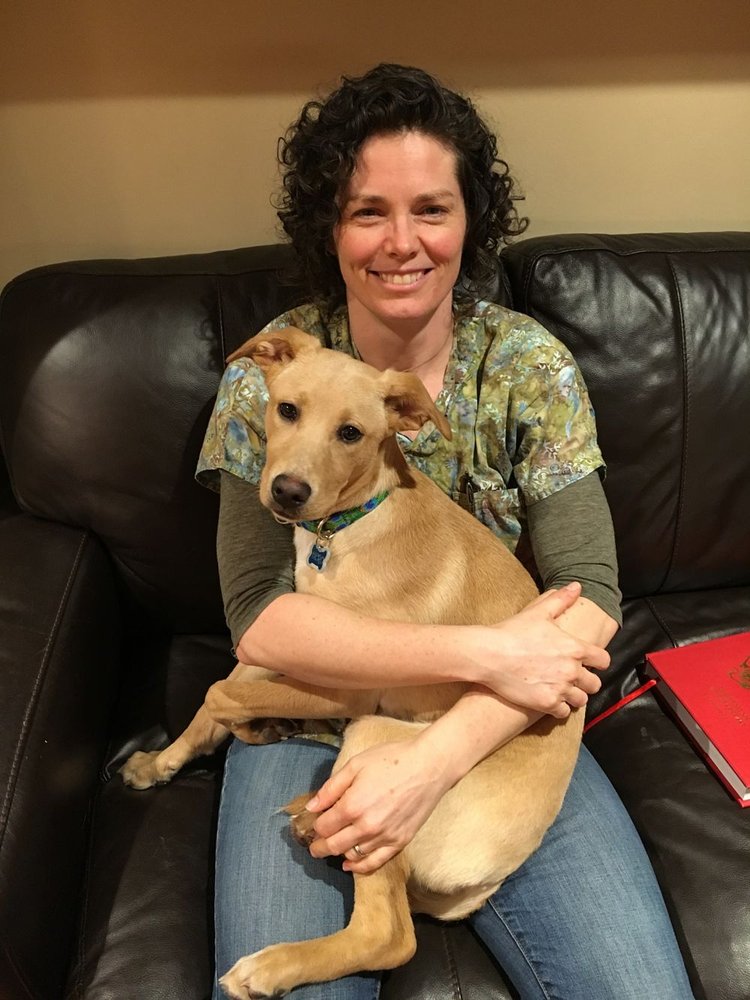 Heart of Vermont Veterinary Acupuncture / Housecalls - grief counselor in Berlin, VT