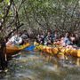 Photo of Cocoa Beach Kayaking Guided Nature Tours