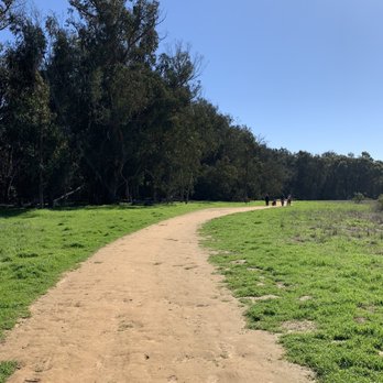 Coronado Butterfly Preserve - This path leads you into the butterfly preserve - Parks Near Me - Goleta, California Coronado Butterfly Preserve - This path leads you into the butterfly preserve - Parks Near Me - Goleta, California
