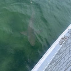 Key West Extreme Adventures
