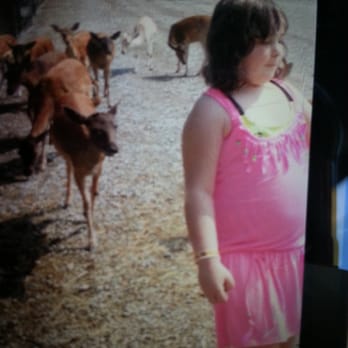 Lagoon Deer Park - Petting Zoos Near Me - Sandusky, Ohio