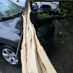Caliber Collision