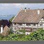 Photo of Rebgut Haltnau