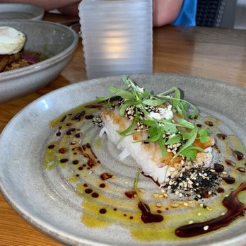 Indigenous Restaurant - Cobia nigiri appetizer - New American Near Me - Sarasota, Florida Indigenous Restaurant - Cobia nigiri appetizer - New American Near Me - Sarasota, Florida