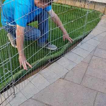 Future Turf - Greg pulling up another area with insufficient nails. - Artificial Turf Near Me - Newbury Park, California