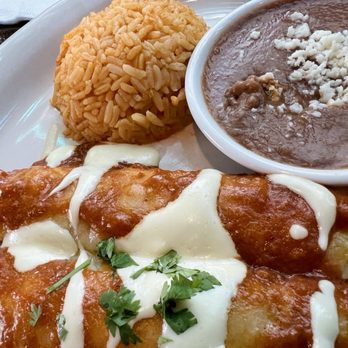 Zocalo 436 - Shredded chicken enchiladas with house "special sauce", with rice and beans. Delicious! - Bars Near Me - Casselberry, Florida Zocalo 436 - Shredded chicken enchiladas with house "special sauce", with rice and beans. Delicious! - Bars Near Me - Casselberry, Florida