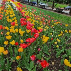 Columbia Fertility Associates - Nice spring day