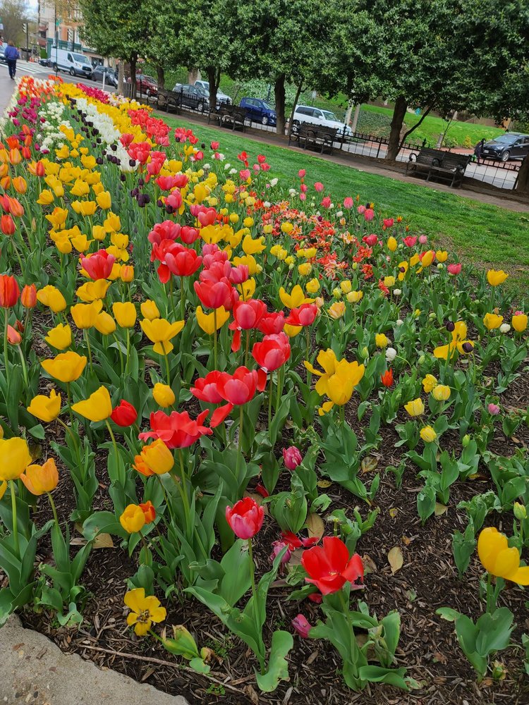 Columbia Fertility Associates - patient advocate in Washington, DC, DC