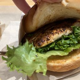 Grilled Chicken Sandwich