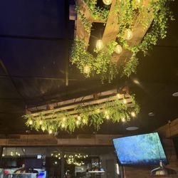 Zereshk Persian Cuisine - Ceiling