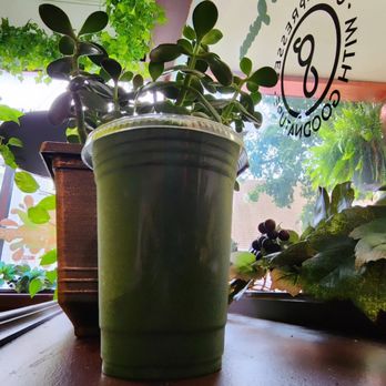 Main Squeeze - Mainsqueeze Smoothie with Organic Spirulina and plant based protein - Juice Bars & Smoothies Near Me - Newton, New Jersey