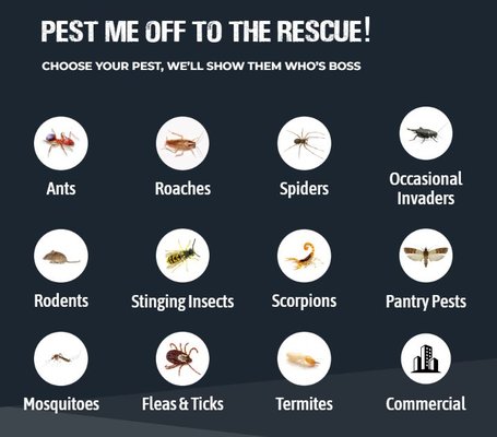 Spider Removal - Our mission at Pest Me Off is simple: to provide top-notch pest control services with a focus on customer satisfaction and environmental responsibility. We strive to exceed our customers’ expectations by delivering prompt, professional, and personalized service every step of the way. From our thorough inspections to our customized treatment plans, we’re dedicated to ensuring that you receive the highest quality care and results. Spider Removal - Our mission at Pest Me Off is simple: to provide top-notch pest control services with a focus on customer satisfaction and environmental responsibility. We strive to exceed our customers’ expectations by delivering prompt, professional, and personalized service every step of the way. From our thorough inspections to our customized treatment plans, we’re dedicated to ensuring that you receive the highest quality care and results.