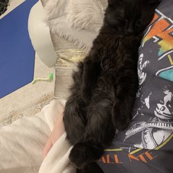 Butler County Humane Society - Our new member of the family