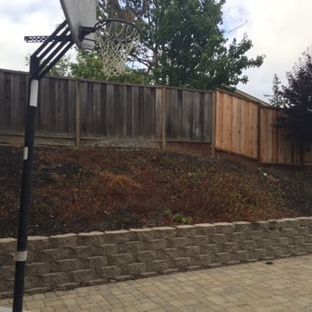 Prodigy Works Tree Service - Before photo of left side of hill - Landscaping Near Me Prodigy Works Tree Service - Before photo of left side of hill - Landscaping Near Me