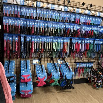 Wagging Tails - Pet Stores Near Me - Cromwell, Connecticut