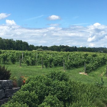 Anyela's Vineyards - Wineries Near Me - Skaneateles, New York Anyela's Vineyards - Wineries Near Me - Skaneateles, New York