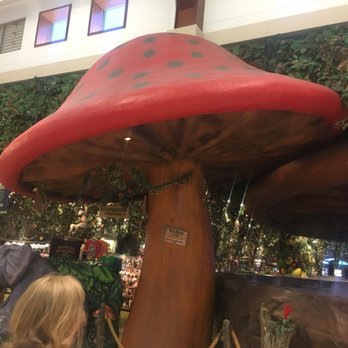 Rainforest Cafe - American Near Me - Gurnee, Illinois Rainforest Cafe - American Near Me - Gurnee, Illinois