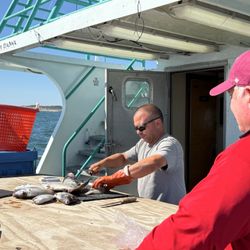VikingFleet - Crew member Roland filets fish caught