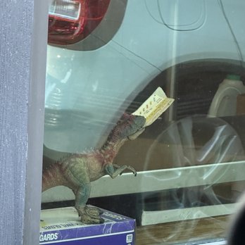 Sonny's BBQ - Tiny raptor in the window - Barbeque Near Me - Lake City, Florida Sonny's BBQ - Tiny raptor in the window - Barbeque Near Me - Lake City, Florida