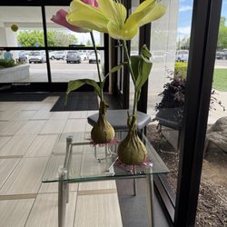 The California Eye Institute - Paper Easter flowers @CEI