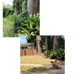 Matthews Landscape & Pest