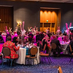 IEC Dallas Chapter
