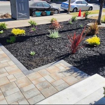Milo Landscaping & Tree Service - Landscaping Near Me - San Jose, California Milo Landscaping & Tree Service - Landscaping Near Me - San Jose, California