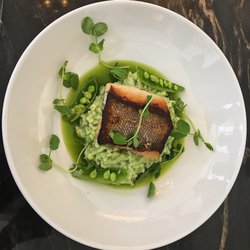 The Hackney