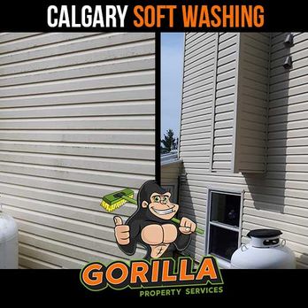 Gorilla Property Services - Gutter Services Near Me - Calgary, Alberta Gorilla Property Services - Gutter Services Near Me - Calgary, Alberta