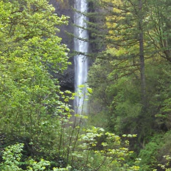 Latourell Falls - Hiking Near Me - Portland, Oregon Latourell Falls - Hiking Near Me - Portland, Oregon