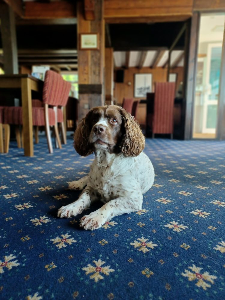 THE MARQUIS OF GRANBY 34 Photos Chickerell Road, Weymouth, Dorset, United Kingdom Pubs