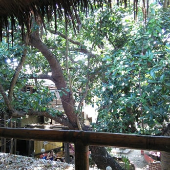 Lazy Dog Bed And Breakfast - Lazy Dog Bed and Breakfast View from my porch - Bed & Breakfast Near Me - Malay, AKL
