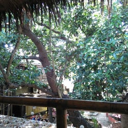 Lazy Dog Bed And Breakfast - Lazy Dog Bed and Breakfast View from my porch