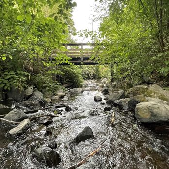 Wallace Swamp Creek Park - Parks Near Me - Kenmore, Washington Wallace Swamp Creek Park - Parks Near Me - Kenmore, Washington